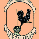 logo mezzaluna